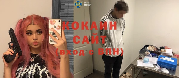 молекула духа Алзамай