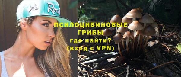 молекула духа Алзамай