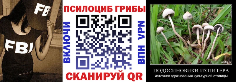 Галлюциногенные грибы Psilocybe  сколько стоит  Дмитров 