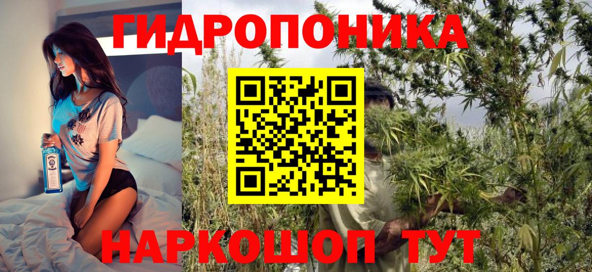 Канабис конопля  Бошки марихуана Ganja  Дмитров  Вход с VPN 